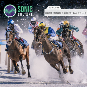 Sonic Culture Competition